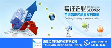 拉萨网站建设与微信程序开发首选 天泽网络，助力企业优质网络推广