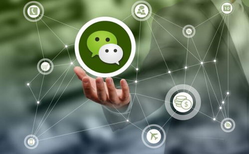 广元青岛鼠标公司网站建设 从规划到上线的完整指南与专业服务